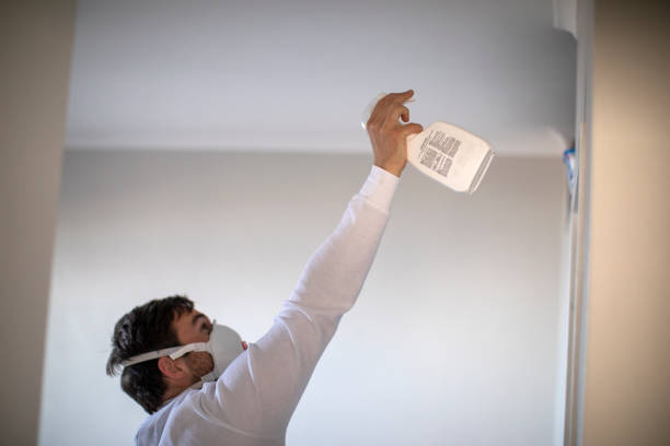 Best Mold Testing and Inspection Services in Moose Lake, MN