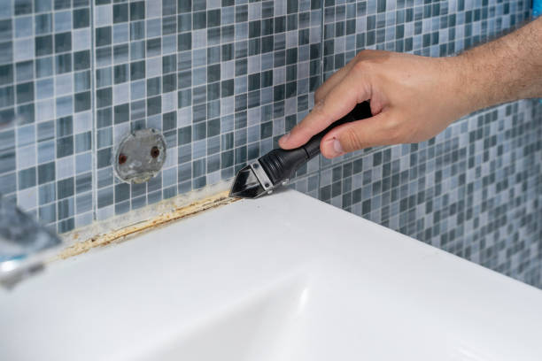 Best Localized Mold Remediation (e.g., coastal areas, humid climates) in Moose Lake, MN